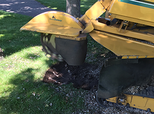 stump removal